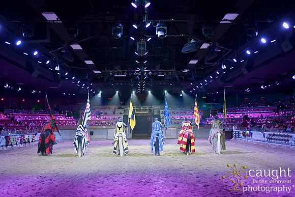 053 Medieval Times Live Performance