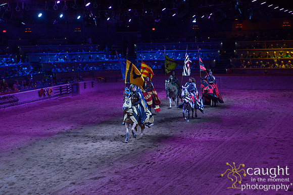 055 Medieval Times Live Performance