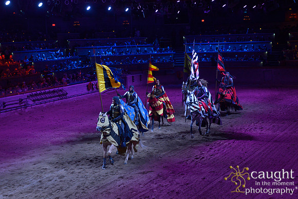 056 Medieval Times Live Performance