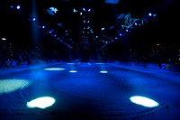 008 Medieval Times Live Performance