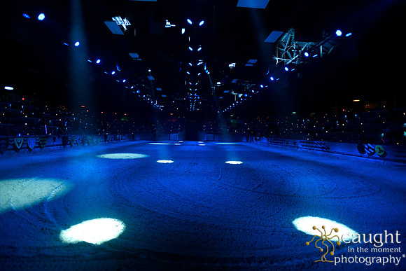 008 Medieval Times Live Performance