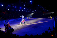 026 Medieval Times Live Performance