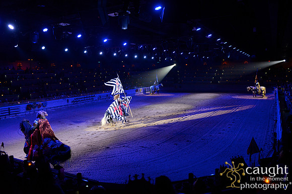 026 Medieval Times Live Performance