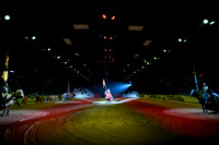 028 Medieval Times Live Performance