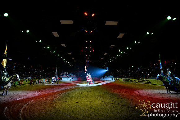 028 Medieval Times Live Performance