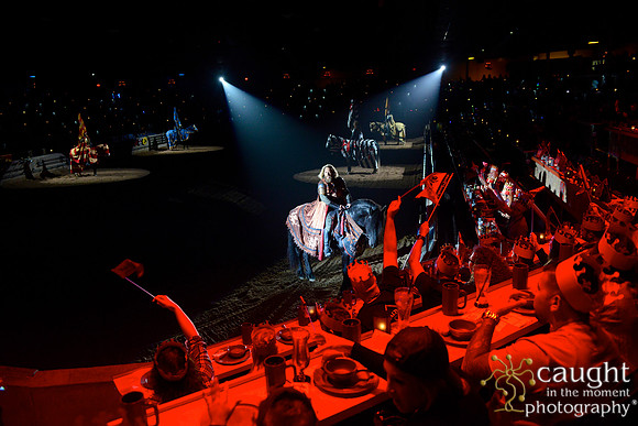 031 Medieval Times Live Performance