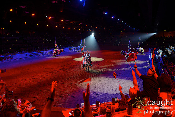 037 Medieval Times Live Performance