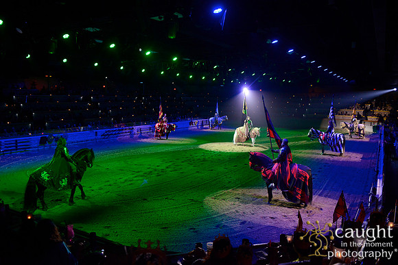 041 Medieval Times Live Performance