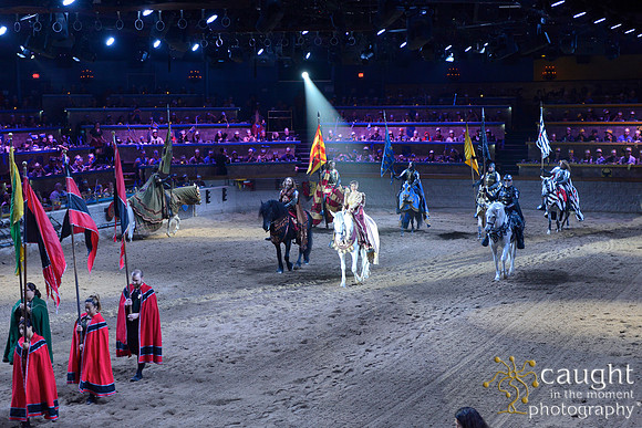 052 Medieval Times Live Performance