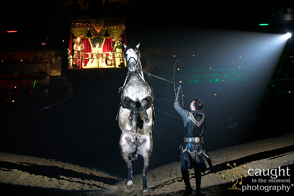 060 Medieval Times Live Performance