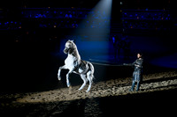 064 Medieval Times Live Performance