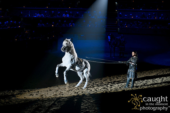 064 Medieval Times Live Performance