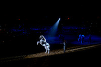 067 Medieval Times Live Performance