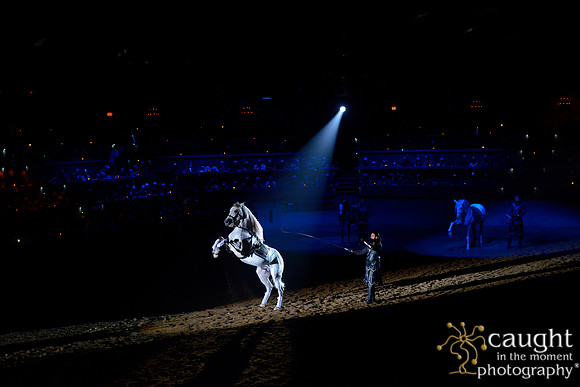 067 Medieval Times Live Performance