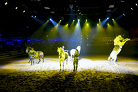 071 Medieval Times Live Performance