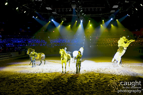071 Medieval Times Live Performance