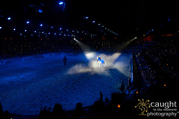 076 Medieval Times Live Performance