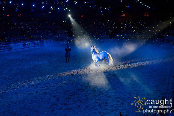 080 Medieval Times Live Performance