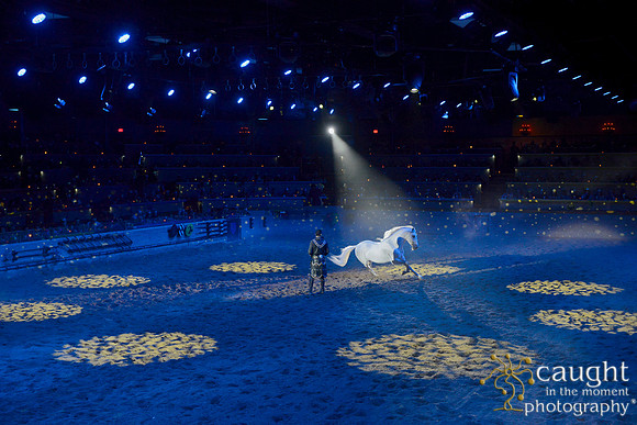 083 Medieval Times Live Performance