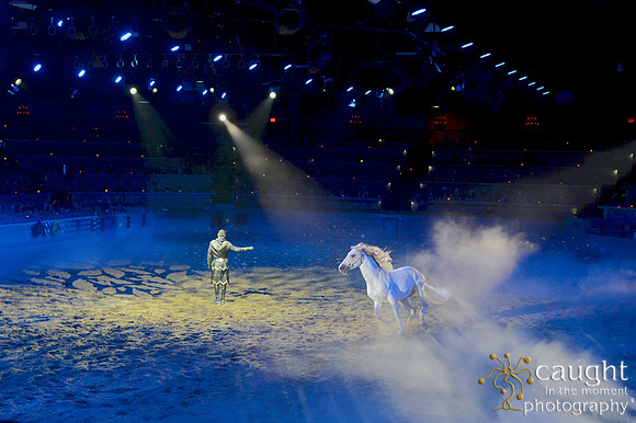 087 Medieval Times Live Performance
