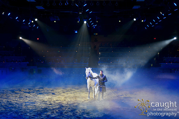 089 Medieval Times Live Performance