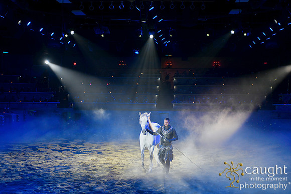 090 Medieval Times Live Performance