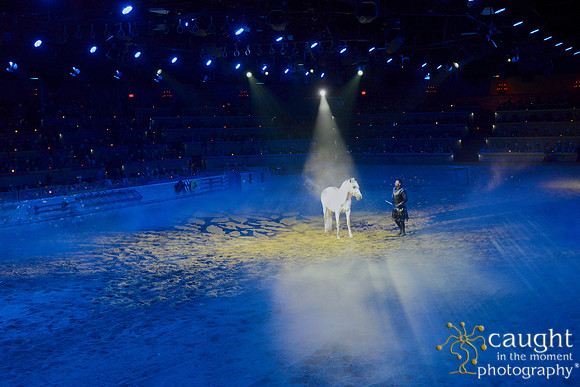 091 Medieval Times Live Performance