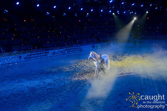 093 Medieval Times Live Performance