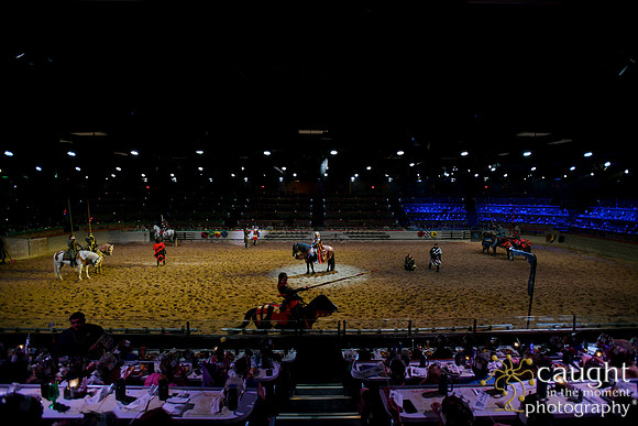 099 Medieval Times Live Performance