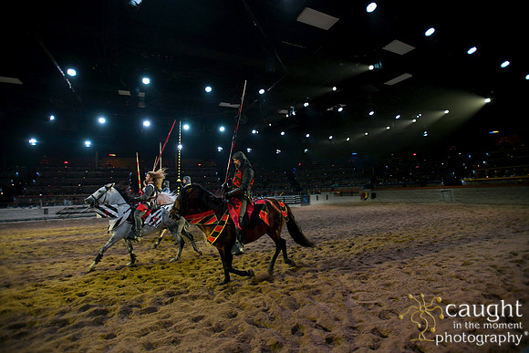 101 Medieval Times Live Performance