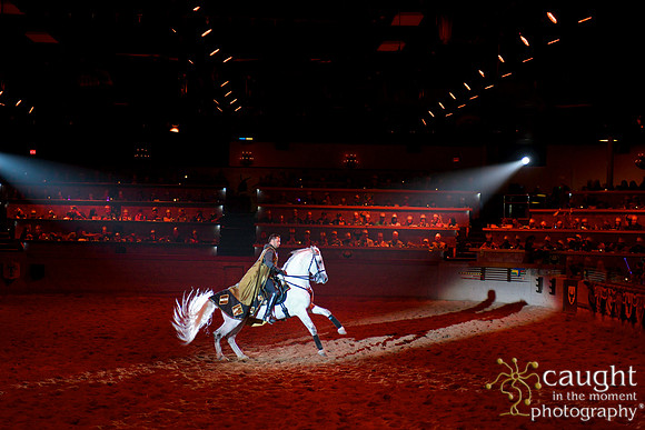 106 Medieval Times Live Performance