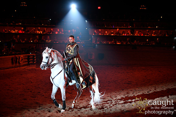 113 Medieval Times Live Performance