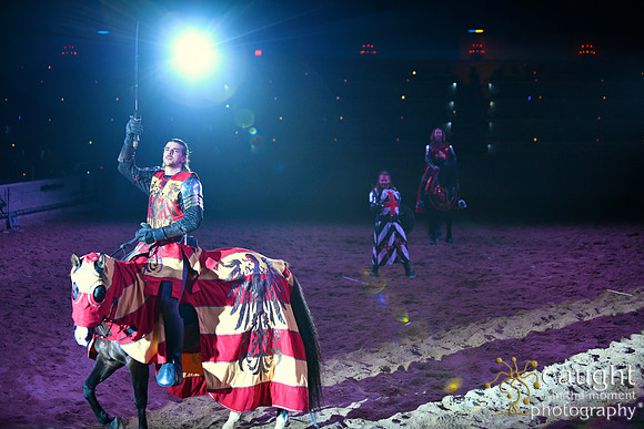 159 Medieval Times Live Performance