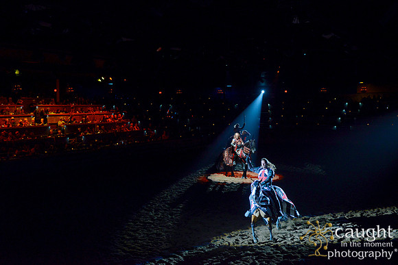161 Medieval Times Live Performance
