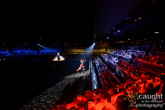 166 Medieval Times Live Performance