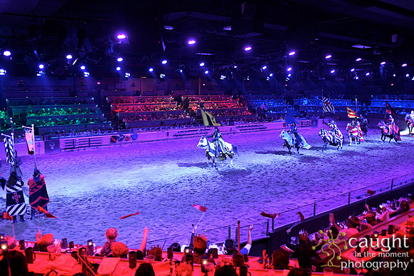 171 Medieval Times Live Performance