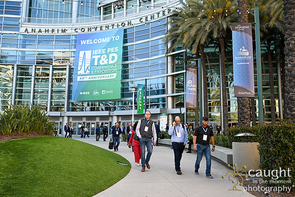861 IEEE PES TandD Anaheim 2024