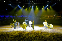 072 Medieval Times Live Performance