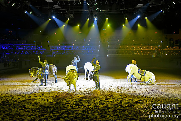 072 Medieval Times Live Performance