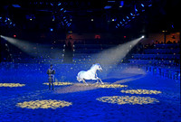 082 Medieval Times Live Performance
