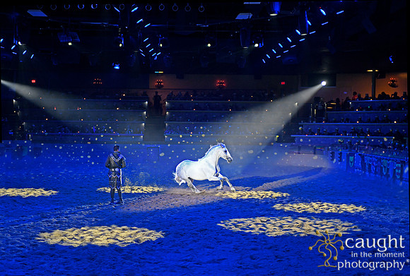 082 Medieval Times Live Performance