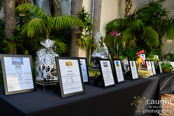 009Foundation Gala 2023