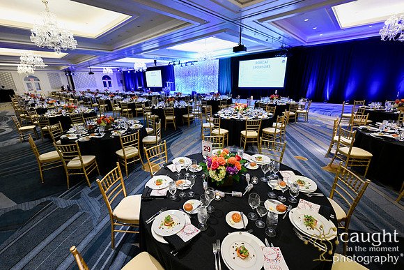 023Foundation Gala 2023
