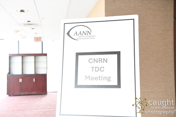 008 AANN 2025-Committees