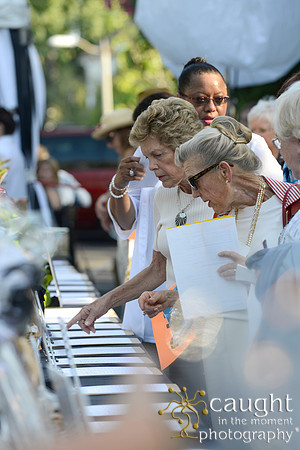 088 MTW Broadway in the Park 2014