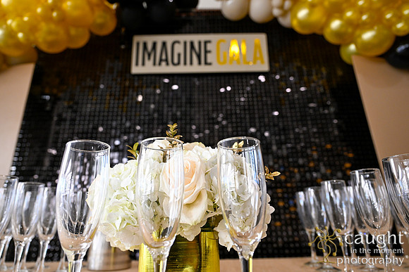 047 Imagine Gala 2024