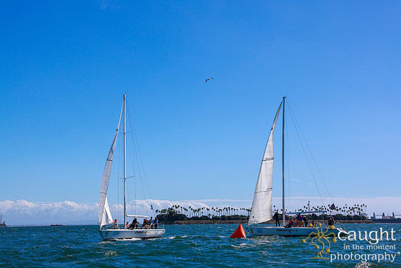 194 TPM25 Long Beach