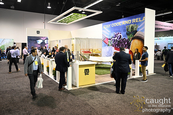 163 MSC at Global Produce in Anaheim 2023-Booth Activity