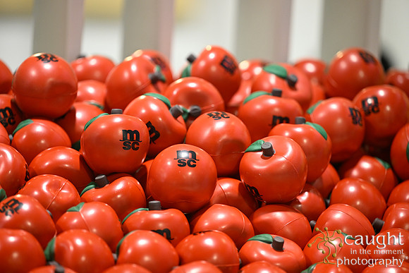 166 MSC at Global Produce in Anaheim 2023-Booth Activity