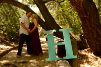 73 Maternity Portraits